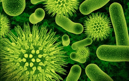 FUNGICIDAS Y BACTERICIDAS
