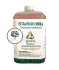 EXTRACTO DE CANELA