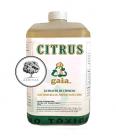 CITRUS