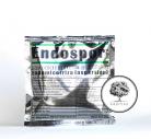 ENDOSPOR